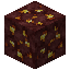Nether Gold Ore
