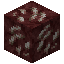 Nether Quartz Ore